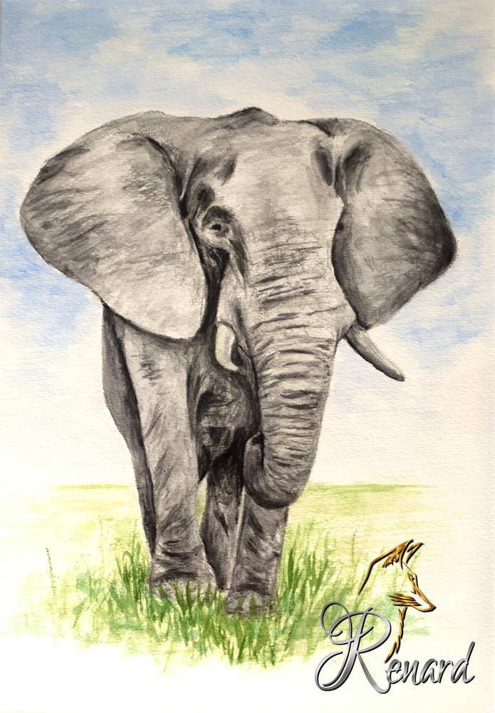 Aquarell Elefant