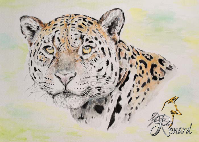 Aquarell Jaguar