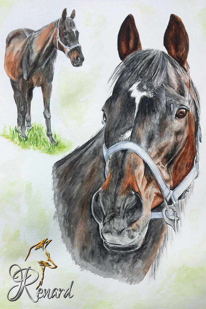 Aquarell Pferd Kollage