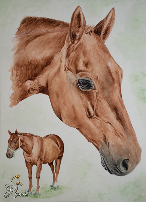 Aquarell Pferd fuchsfarben