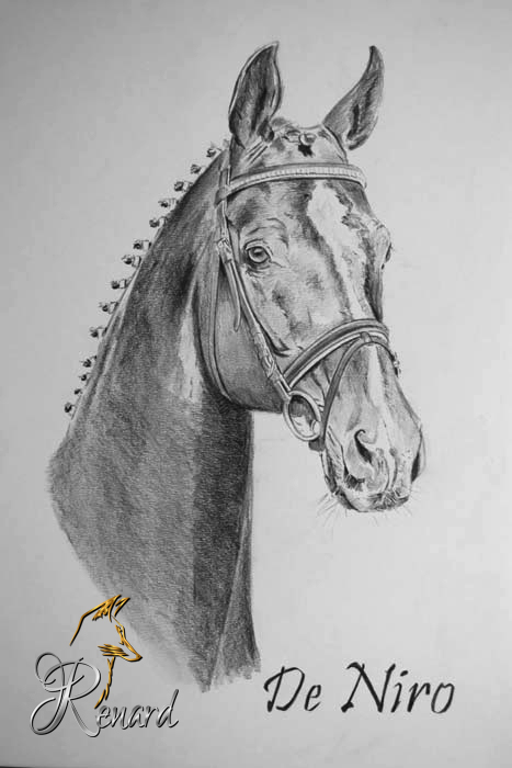 Bleistiftzeichnung Pferd De Niro