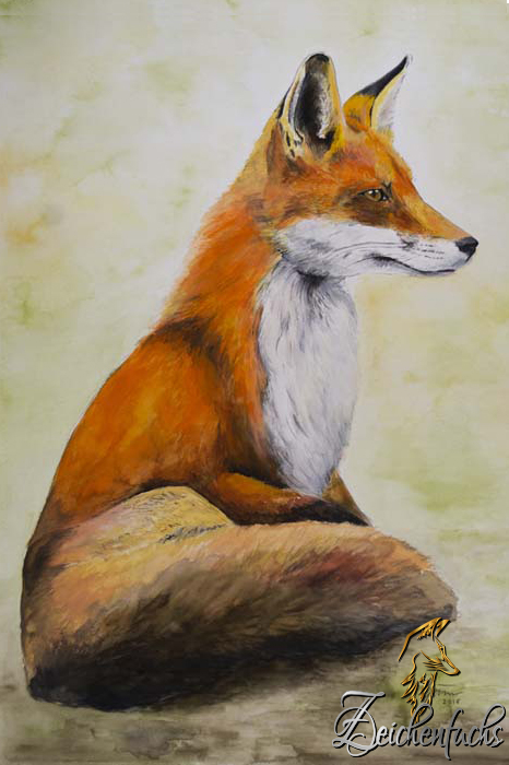 Zeichenfuchs_Rotfuchs_Aquarell-Wasserzeichen